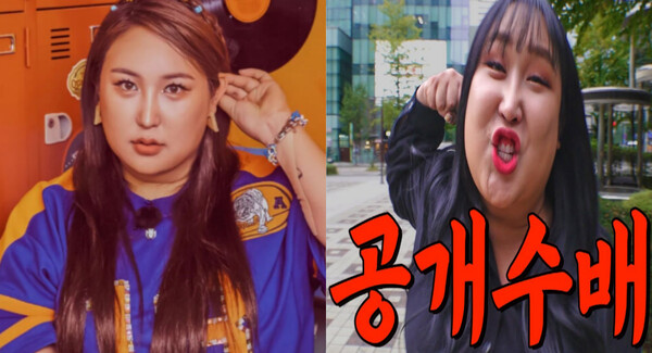 유튜버 풍자, '또간집' 사칭범에 경고 분노 표출