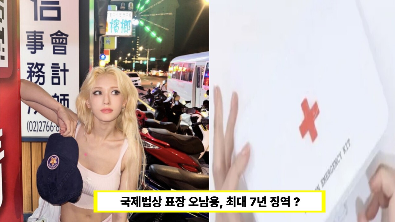전소미 브랜드, 적십자 로고 유사 논란