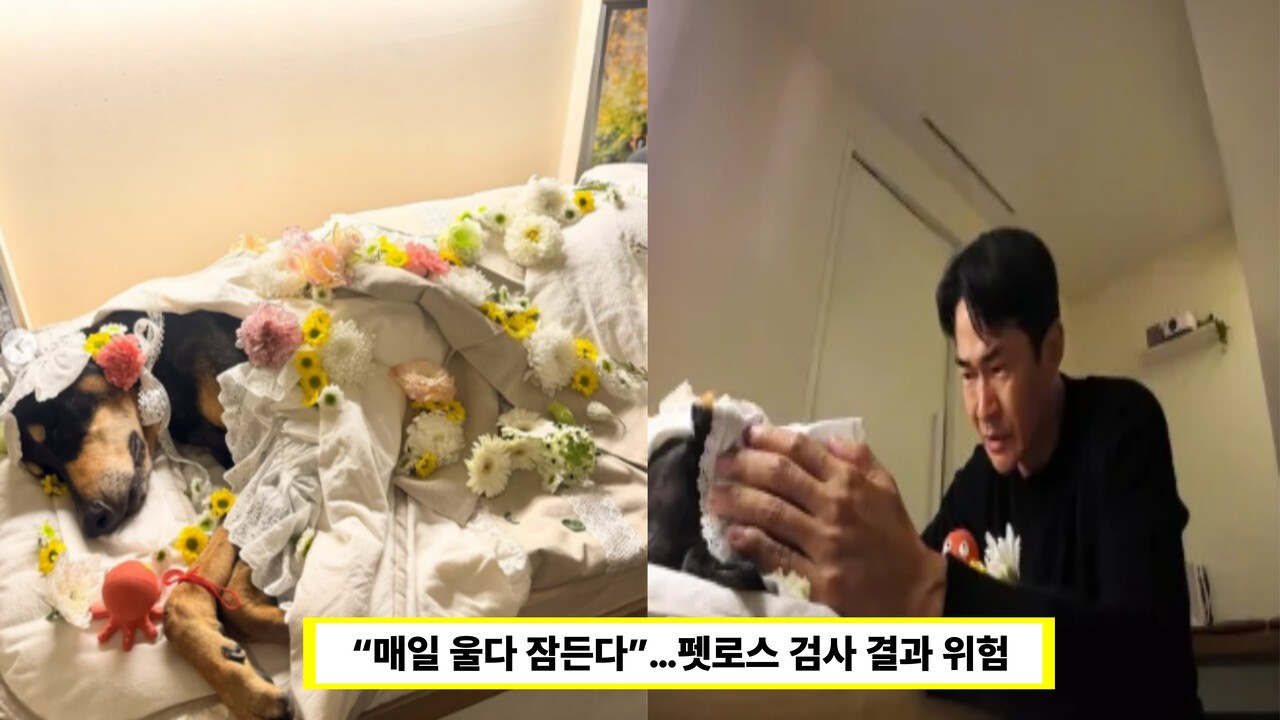 대표 이미지